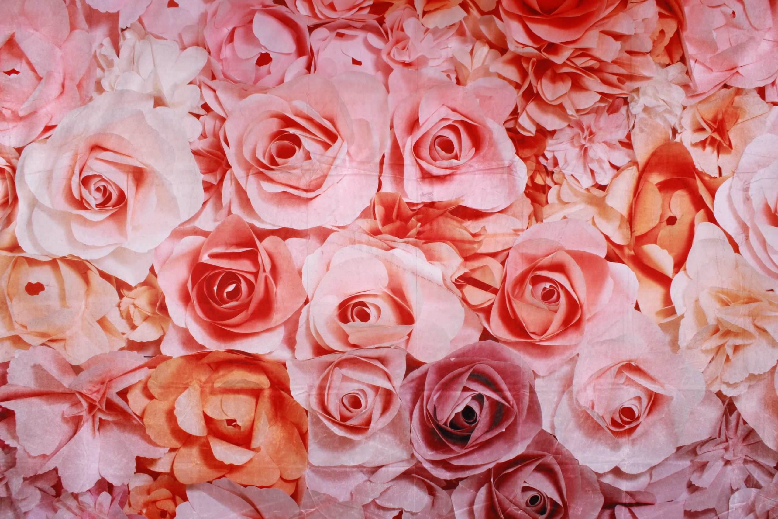 M08 - Blumen apricot